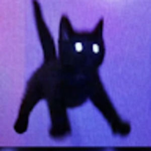 Meet your Posher, Ana